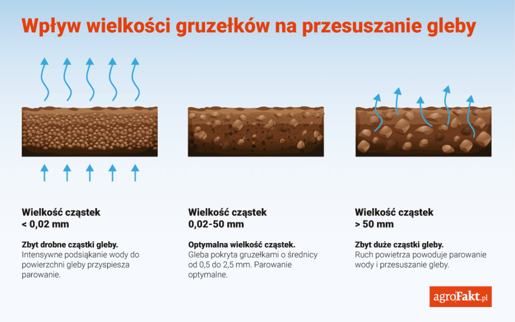 woda dostępna dla roślin