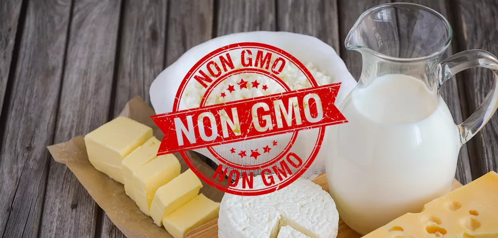 produkty mleczne bez gmo