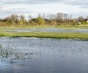 Pomoc finansowa na ograniczenie skutków klęsk żywiołowych