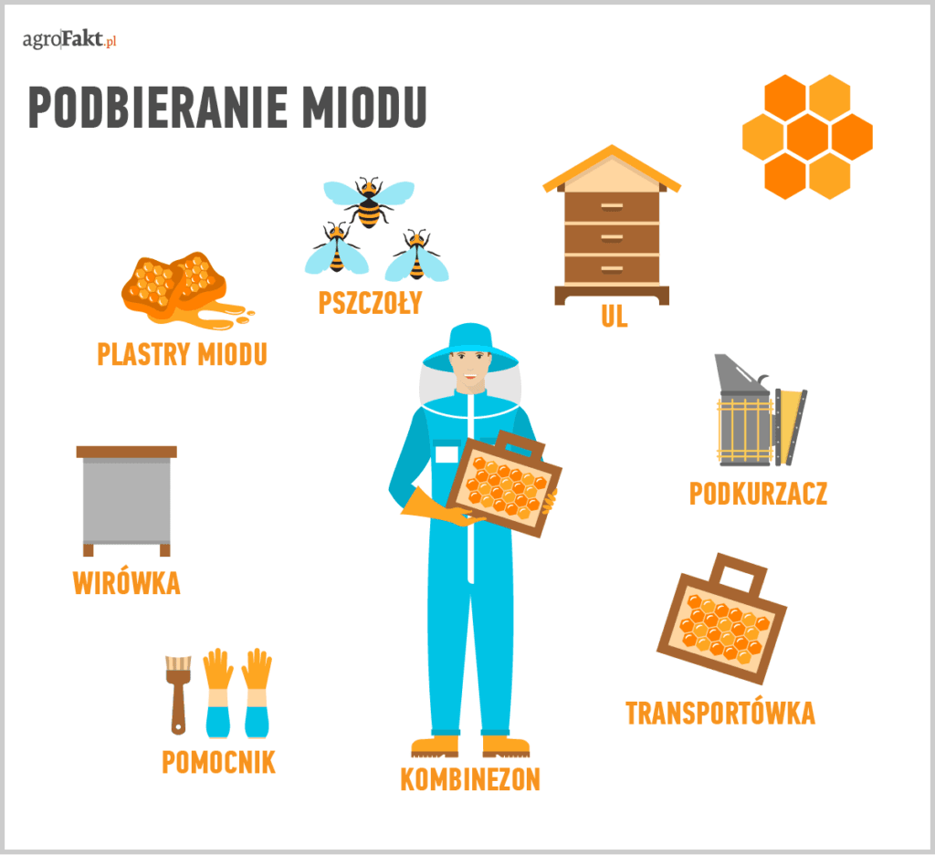 miodobranie wieńczy pracę pszczelarza