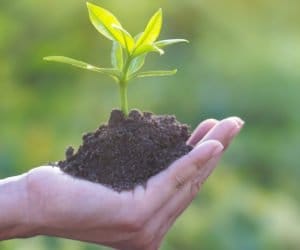 PIORIN uczy Czarnogórę. Wizyta bałkańskiej delegacji w&nbsp;Polsce