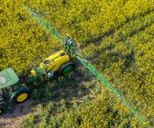 Pełna ochrona rzepaku w&nbsp;Krzydlinie Wielkiej