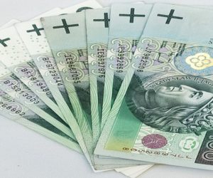 Dotacje na przetwórstwo – do 300 tys. zł na inwestycje z PROW