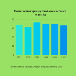 powierzchnia upraw truskawek