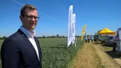 Zielone Pola 2017 - co się zmieniło w Pawłowicach?