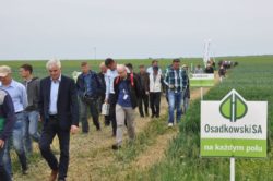 Zielone Pola 2017 w Wasylowie
