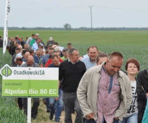 Zielone Pola 2017 w&nbsp;Wasylowie