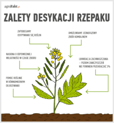 desykacja i sklejanie łuszczyn rzepaku