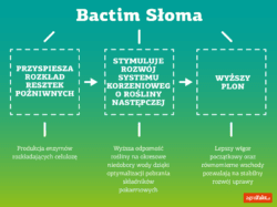 działanie Bactim Słoma