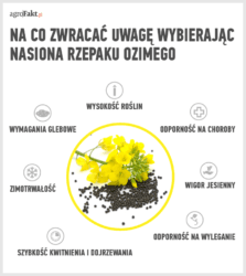 jaką odmianę rzepaku wybrać
