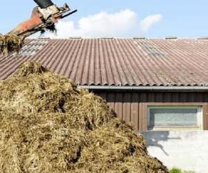 Rozrzucanie obornika – jak to zrobić zgodnie z&nbsp;prawem?