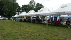 Zielone Pola 2017