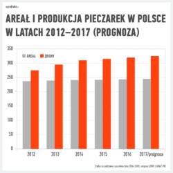 Produkcja pieczarek w Polsce w latach 2012 - 2017