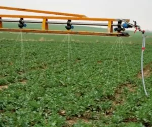 Stosowanie RSM: zalety i&nbsp;zasady bezpiecznego użycia