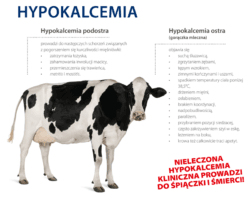 hipokalcemia