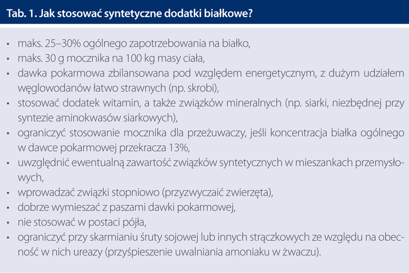 Jak stosować dodatki białkowe?