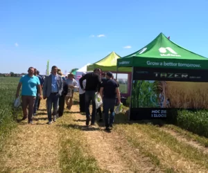 Zielone Pola 2017 Pawłowice