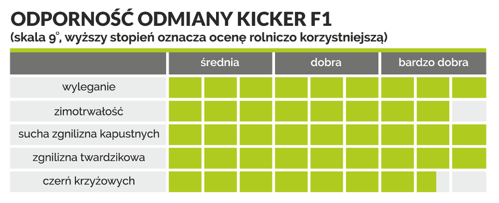 Rzepak KICKER F1 cechy
