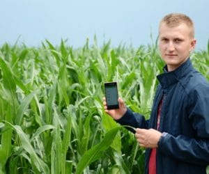 Vitalfields