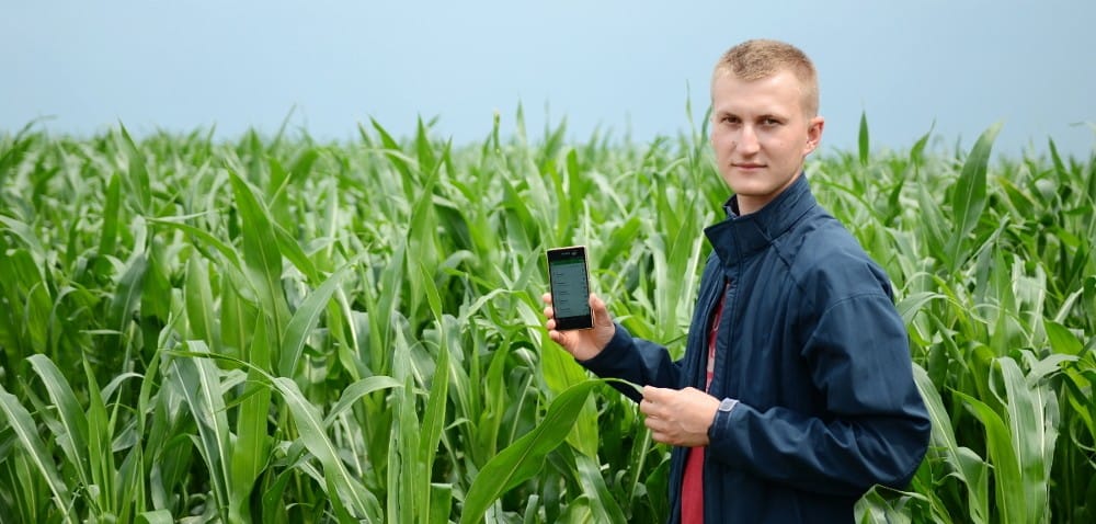 Vitalfields to oszczędność czasu i&nbsp;przejrzysta dokumentacja