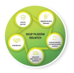 Diagram skupu płodów rolnych