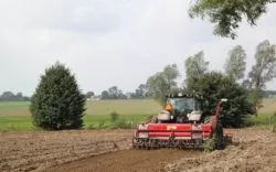ceny materiału siewnego