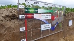 Dzień Buraka Cukrowego 2017