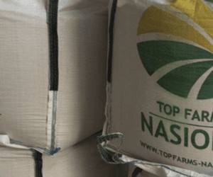 Sprawdzone odmiany pszenicy ozimej od Top Farms Nasiona