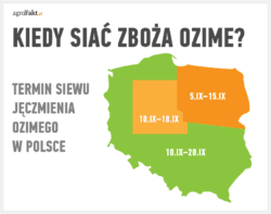 terminy wysiewu jęczmienia ozimego - mapa