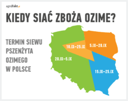 terminy siewu pszenżyta ozimego - mapa