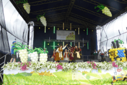 Dzień Buraka Cukrowego 2017