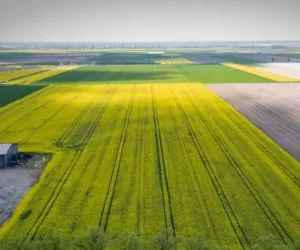 Plony, plany, marzenia – realizuj skutecznie i&nbsp;bezpiecznie!