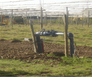 Nawodnienie sadu to lepsze jakościowo plony