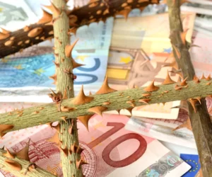 Likwidacja KRUS – tego chce Komisja Europejska