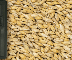 Wilgotnościomierz ziarna – jakie ceny?