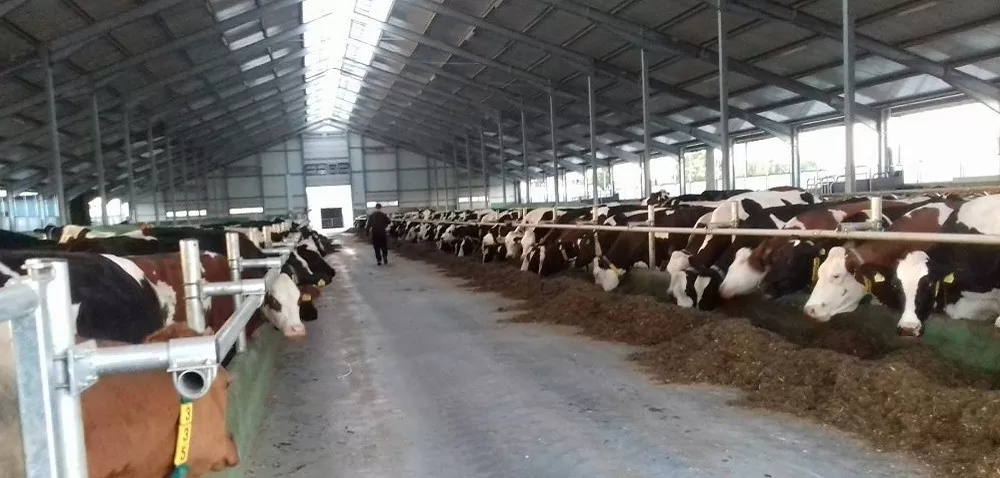 zraszacze do obory