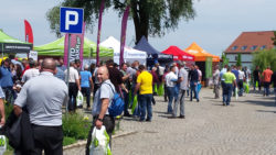 Zielone Pola 2017