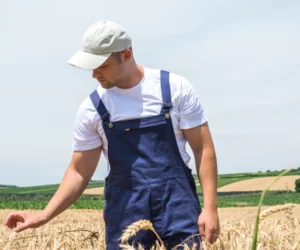 Bezpieczny rolnik – TUZ Ubezpieczenia odświeża ofertę dla rolników