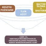 Bactim Słoma
