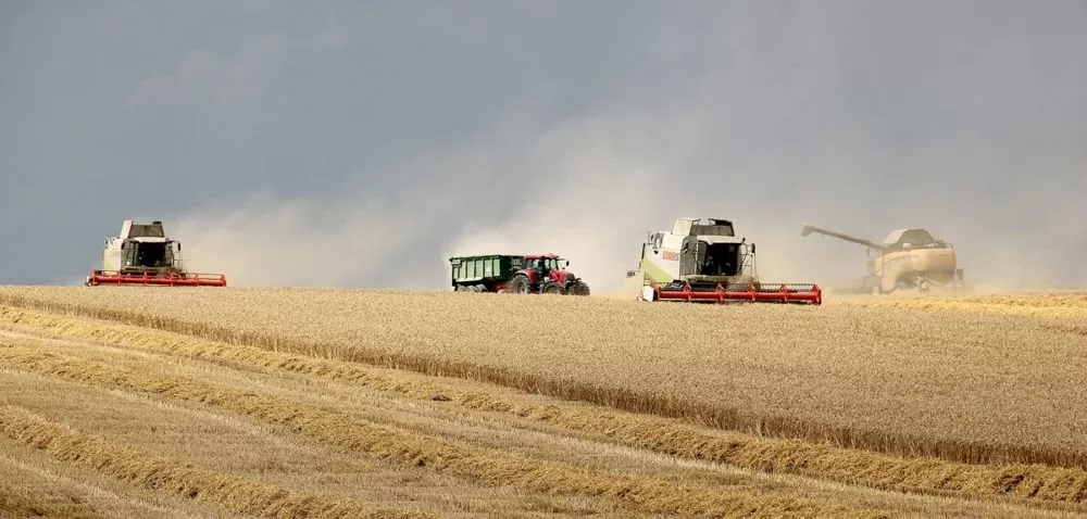 Jak wygląda produkcja kwalifikowanego materiału siewnego