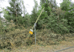 Biskupin po nawałnicy - krajobraz aktualny