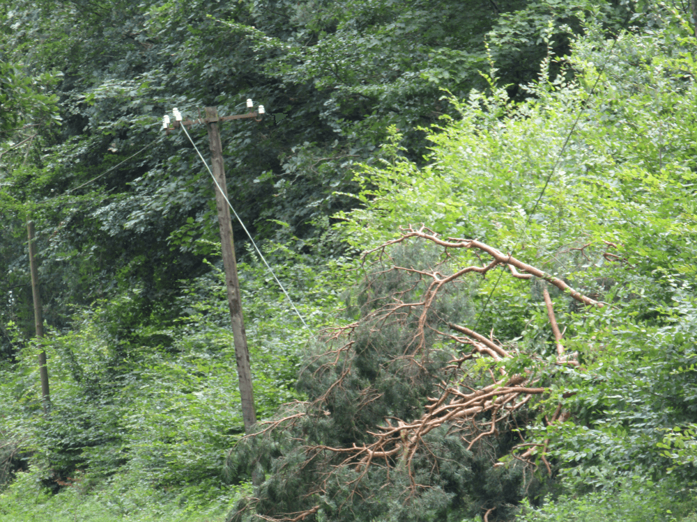 Krajobraz po nawałnicy - smutny widok