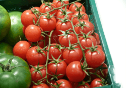 Tak jak w Polsce taniej warzywa kupić w sieci