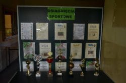 Osiągnięcia sportowe