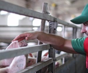 Rolnicy otrzymali wsparcie z&nbsp;ARR