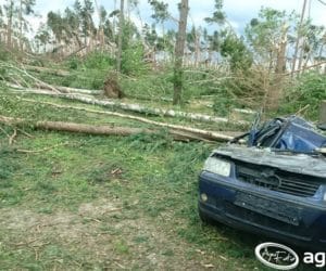 Umorzenie składek KRUS i&nbsp;ANR po nawałnicach?