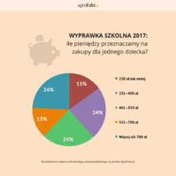Koszt wyprawki szkolnej
