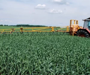 Nawóz RSM – zalety i&nbsp;zasady stosowania