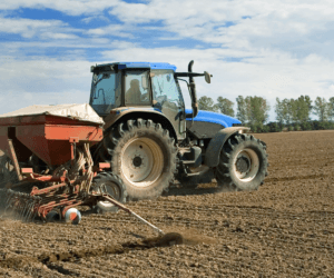 Dobór odmian pszenicy dopasowany do terminu siewu i&nbsp;przedplonu