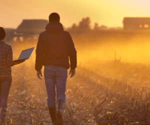 Warunki ubezpieczenia w&nbsp;KRUS – na czym polega obowiązek?